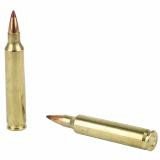 Superformance Varmint .204 Ruger 24 Grain NTX