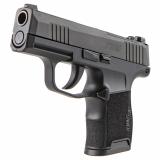 P365 380 |380ACP 3.1 Inch Barrel Stainless Steel Optic-Ready Slide Black Nitron Finish Sig Night Sights Textured Grip 2 10 Round Magazines