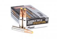 Sig Sauer E300H2-SBR-20 798681587582