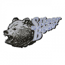 Bear Ammunition A762SPNB 4607094860846