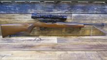 Ruger 10/22