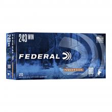 Federal 243AS 029465091354
