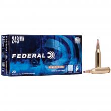 Federal 243B 029465084288