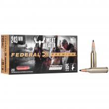 Federal P243TC1 029465063399