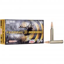 Federal P300WP 029465097202