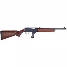 Henry Repeating Arms H27-119-WELL 619835601636