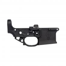 Primary Weapons Systems MK1-M2-LWR 811154033130