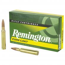 Remington R30065 047700054902