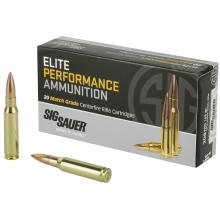 Sig Sauer E308M1-20 798681552948