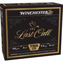 Winchester LCTSS2839 020892029217