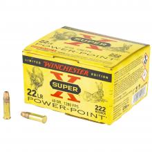 Winchester X22LRPPB 020892104693