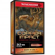 Winchester X243DSLF 020892224186